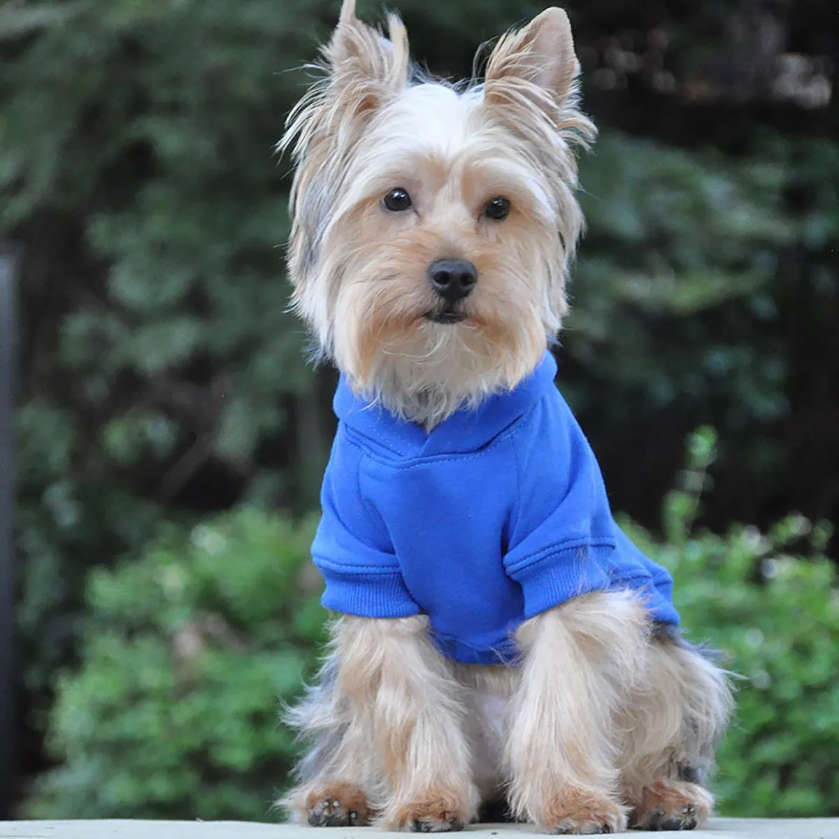 Dog Flex-fit Hoodies