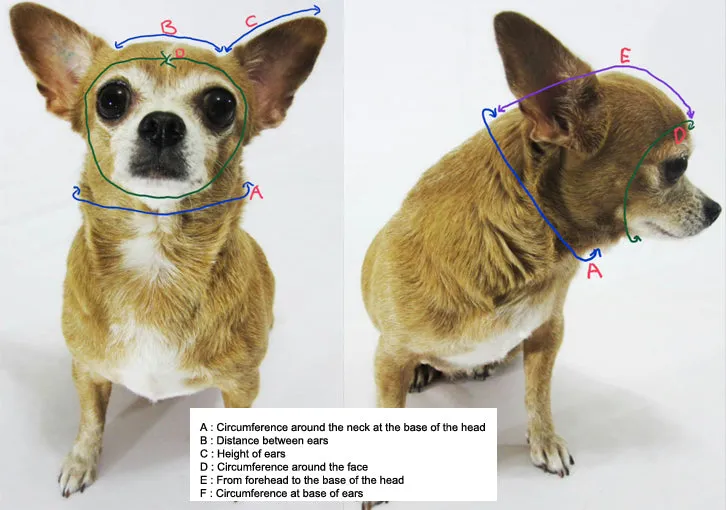 Monkey Dog Hats, Crochet Dog Hat, Cat Hats DB8