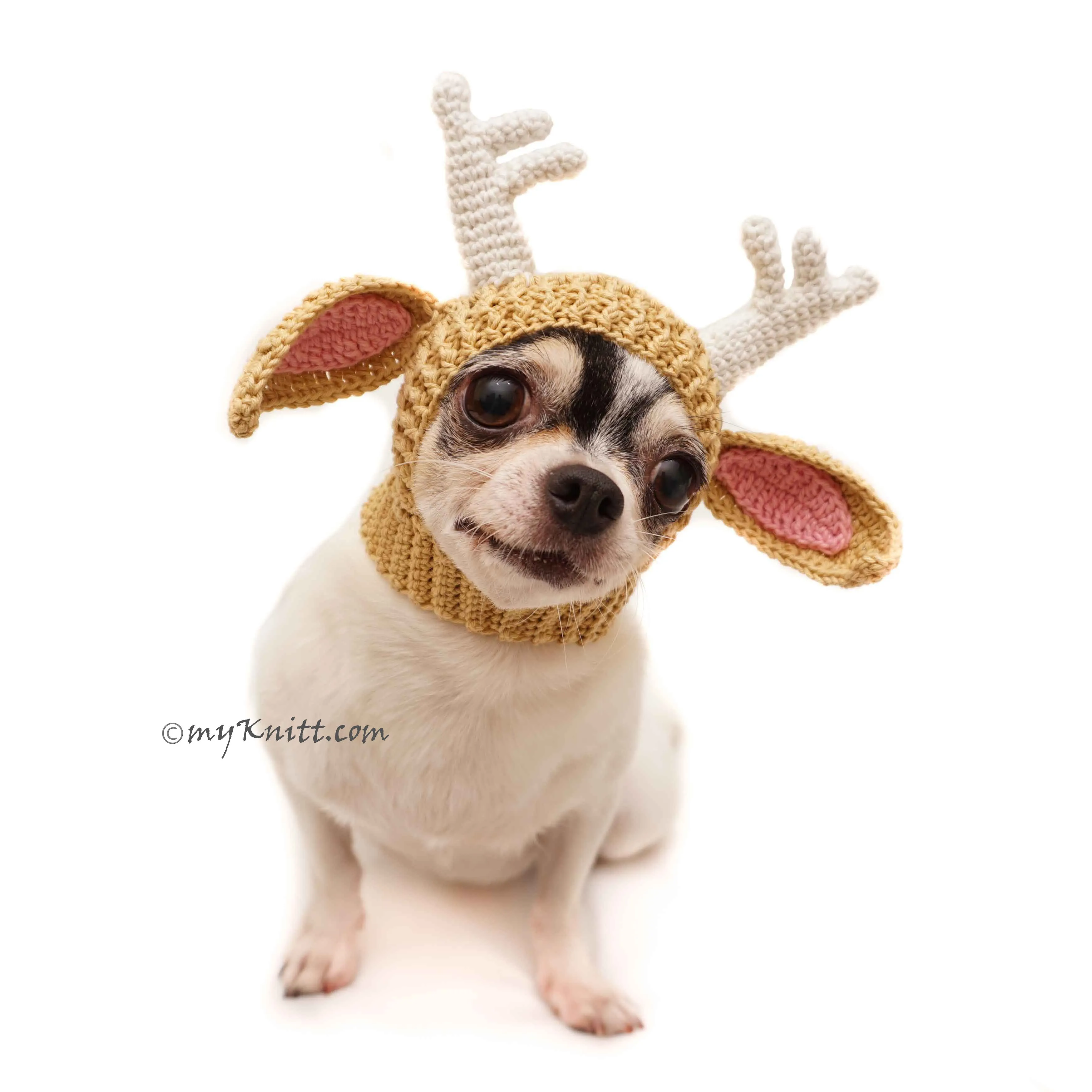 Reindeer Dog Hats, Cat Hats, Crochet Dog Hat, Dog Birthday Hat DB6