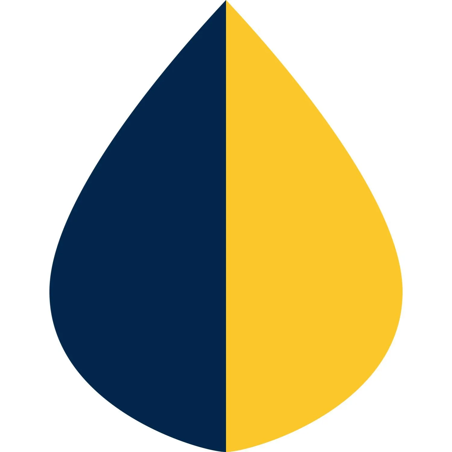 SpiritCaper - Navy Blue & Gold Wind & Rainproof Sports Cape